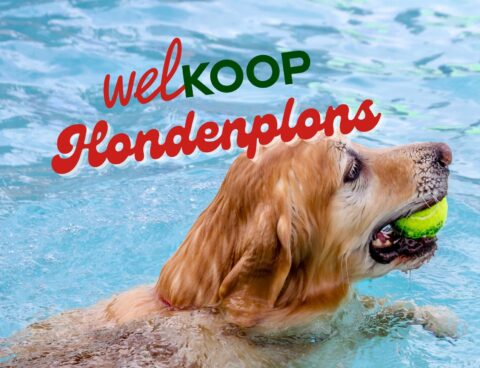 Welkoop Hondenplons 2025